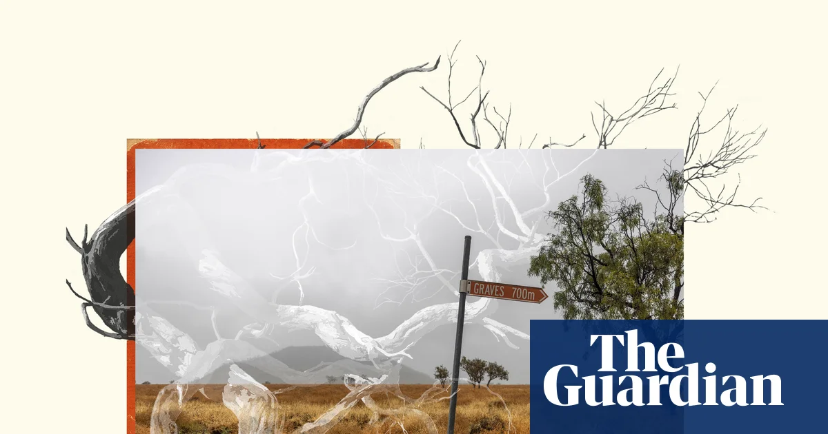 From The Descendants to Gina: Guardian Australia Leads Walkley Nominations in Youth-Focused Awards