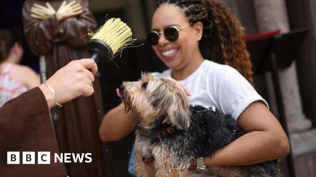 Global Pets Blessed in Honor of Saint Francis Feast Day