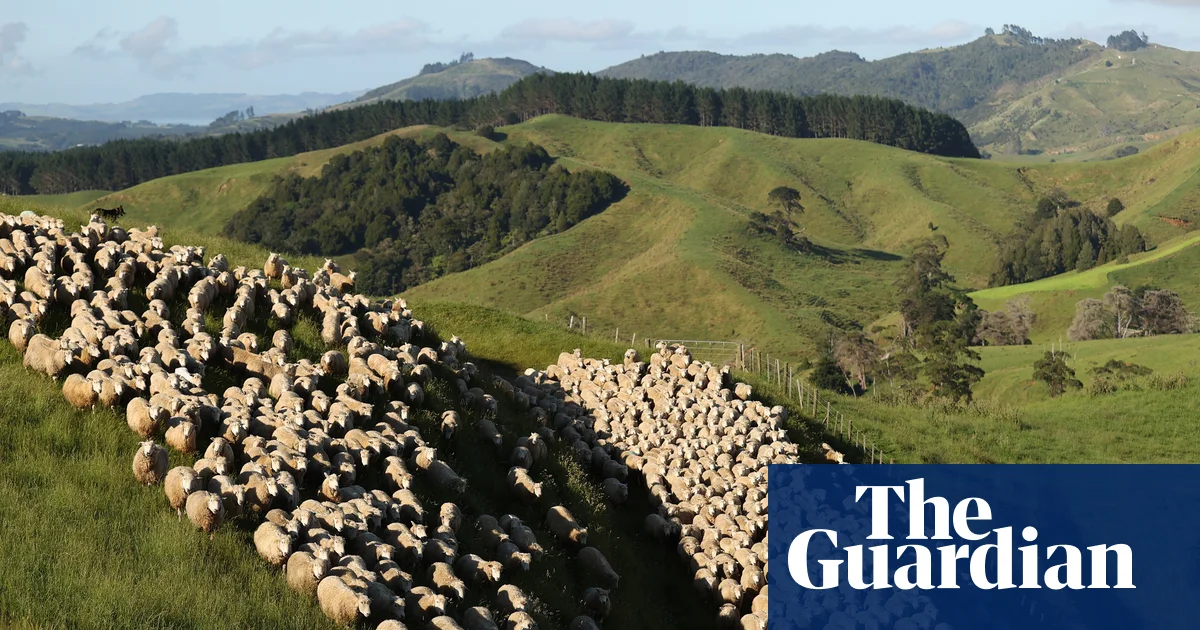 New Zealand Faces Criticism for Ignoring Climate Change with Methane Cuts
