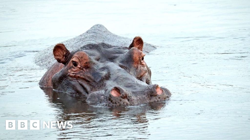 South Africa considers renaming iconic reserve amidst national debate