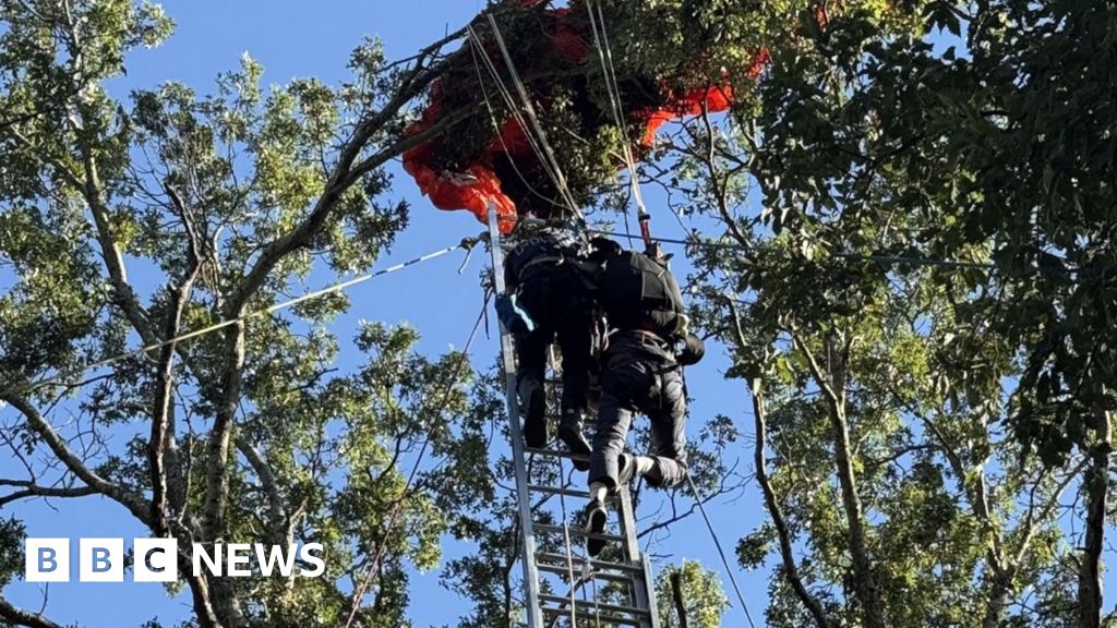 Skydiver loses life after tragic free fall—without a parachute