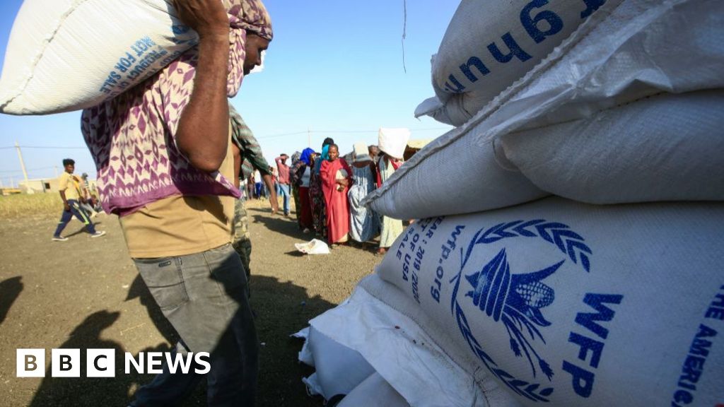 Sudan kicks out UN Food Agency staff as chaos worsens