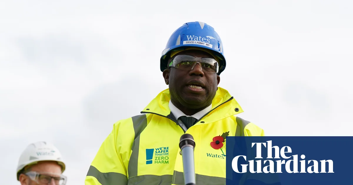 Lammy's Right: No Need to Discuss Mistakenly Freed Prisoner at PMQs