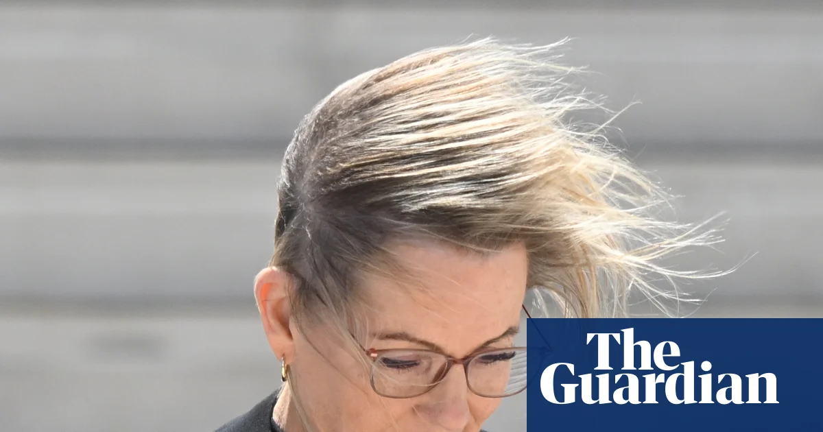 Liberals Drop Emissions Goals, But Ley Sees Net Zero as Still Possible Win | Australia News