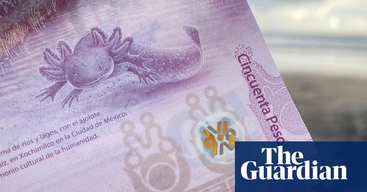 Many Mexicans skip the amphibian-themed banknote featuring axolotls they don't want to spend