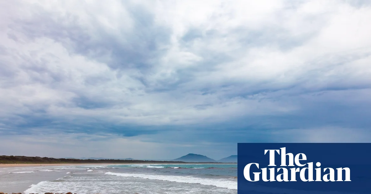 Australia Shark Attack: Woman Killed, Man in Critical Condition on NSW Beach