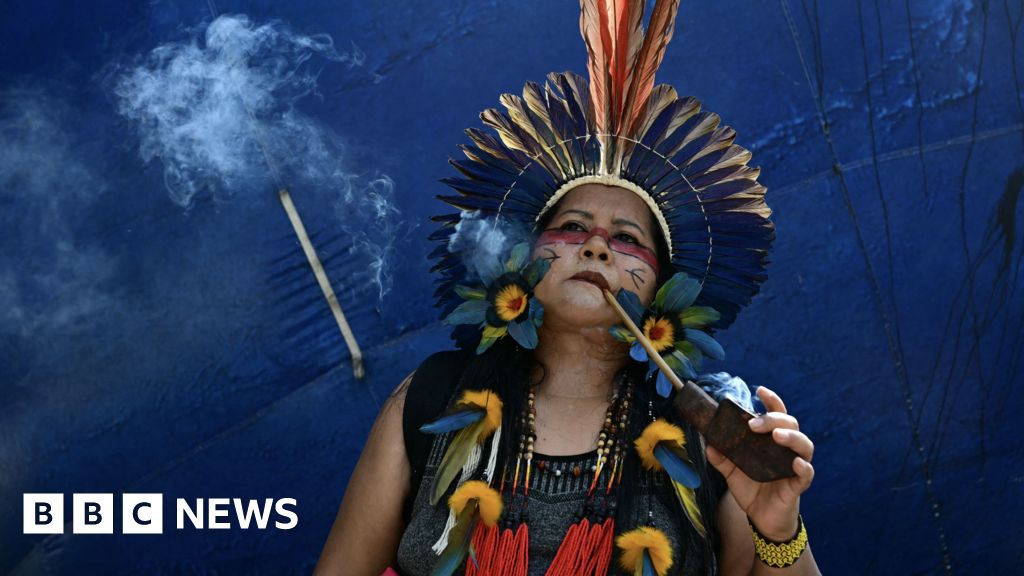 Brazil expands Indigenous lands following COP30 protests