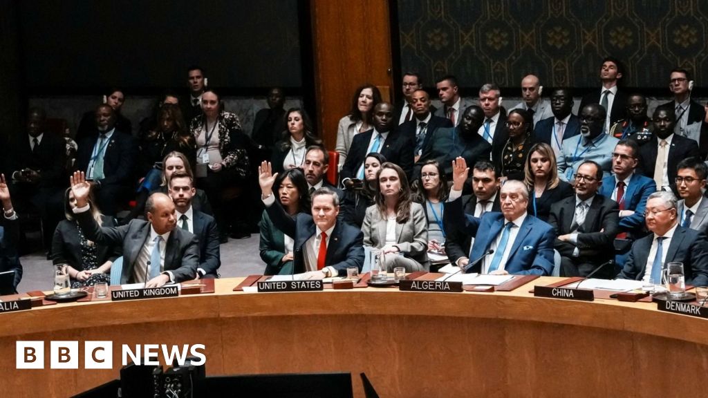 UN Security Council Backs Trump's Gaza Strategy, Youths Take Note