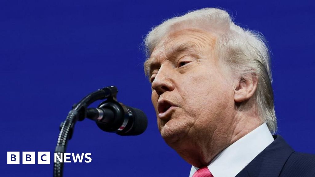 Trump signs bill demanding release of Epstein files to expose the truth