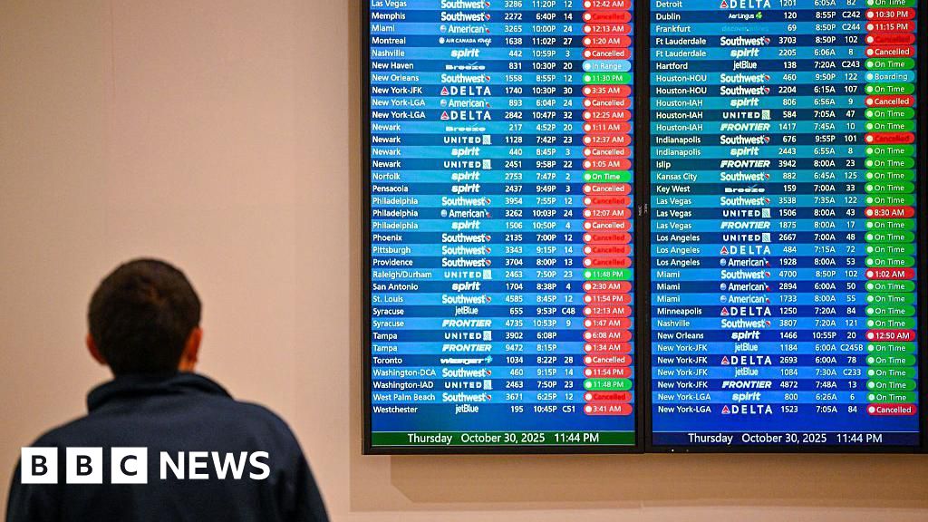 Staff shortages from government shutdown hit US airports, causing delays for travelers
