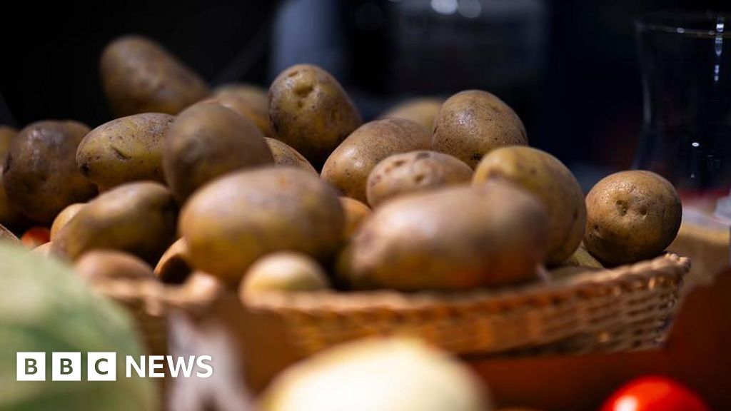 German Farm Dumps Millions of Potatoes After Record-Breaking Harvest—Chips Anyone?
