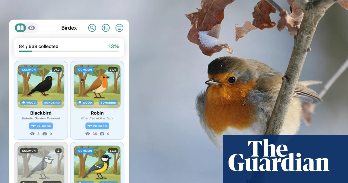 Birdwatchers, Get Ready: New Pokémon-Inspired Bird App Arrives!