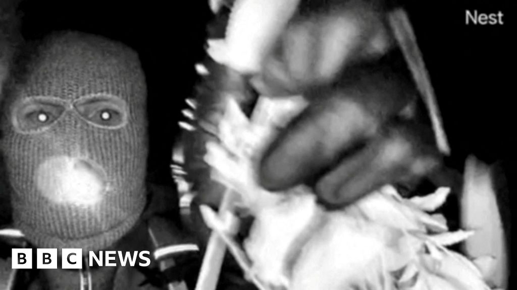 DNA on glove links suspect video to Nancy Guthrie case