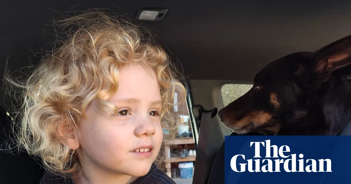 Gus Lamont’s Parents Urge Public to Help Find Him: ‘Every Moment Without Him Is Unbearable’ | South Australia