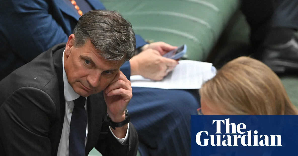 Angus Taylor allies gear up to challenge Sussan Ley for Liberal leadership soon