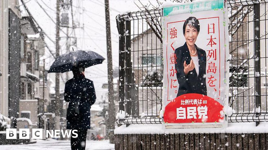 Japanese youth rally through snow to cast decisive vote in snap election