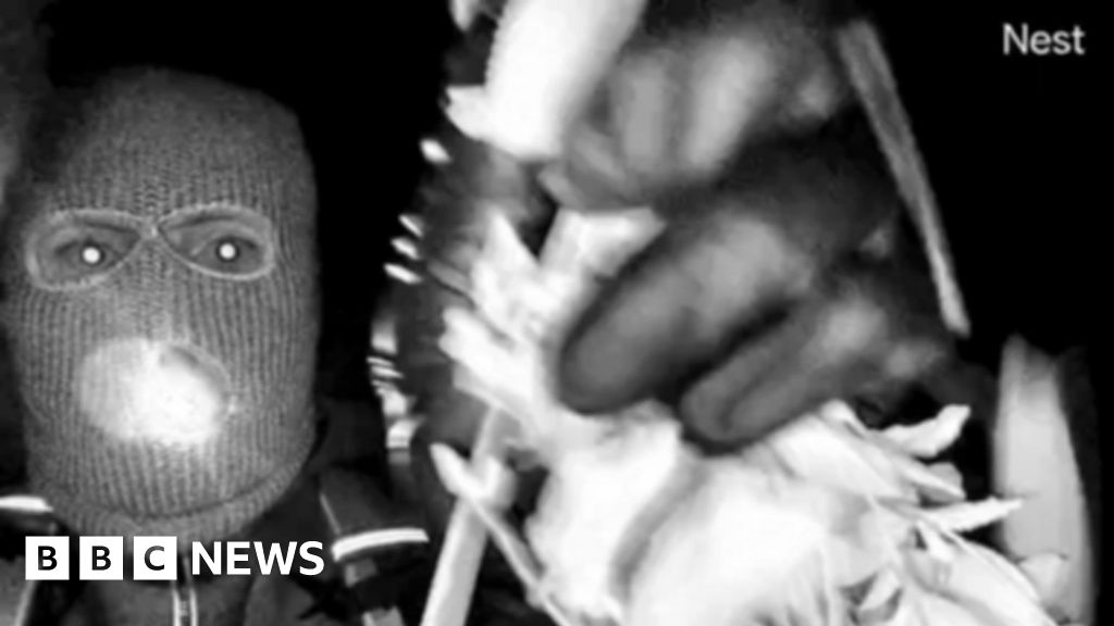 FBI Releases Images of Masked Suspect in Savannah Guthrie's Mother Case