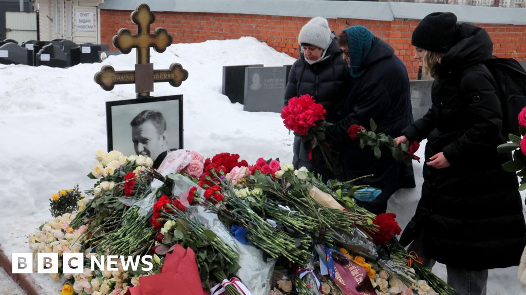 Navalny’s mother calls poison evidence proof he was targeted and murdered