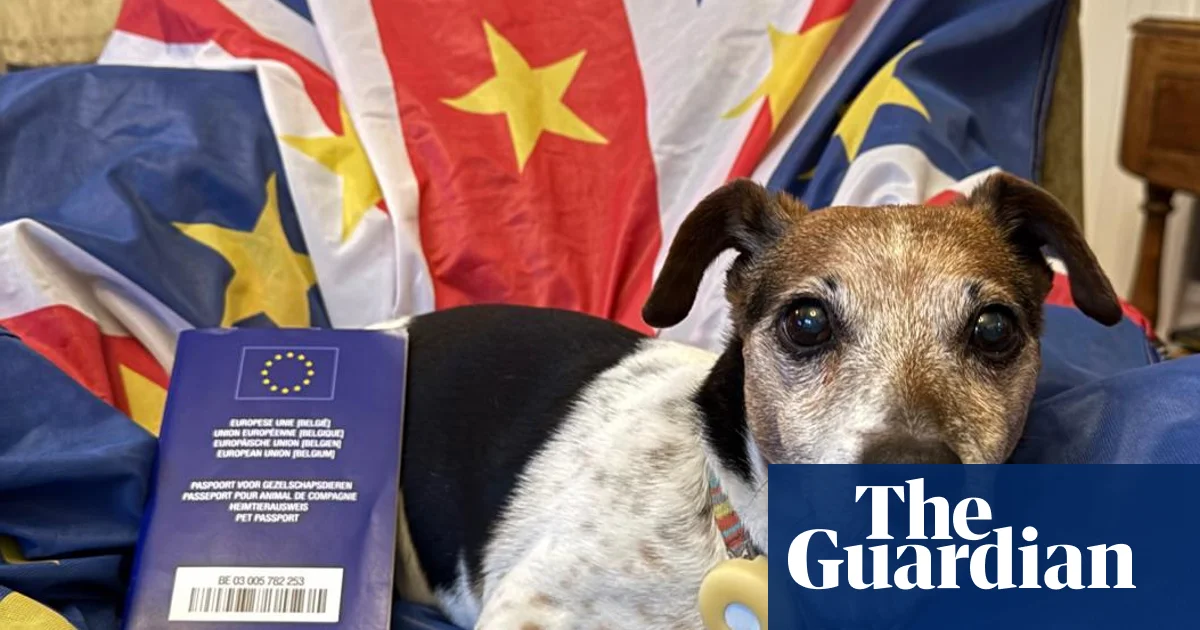 Britain’s pet owners warned: EU passport ‘loophole’ could land you in hot water