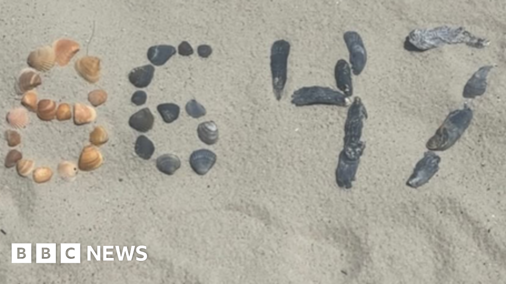 Experts skeptical of second Comey indictment over seashell post