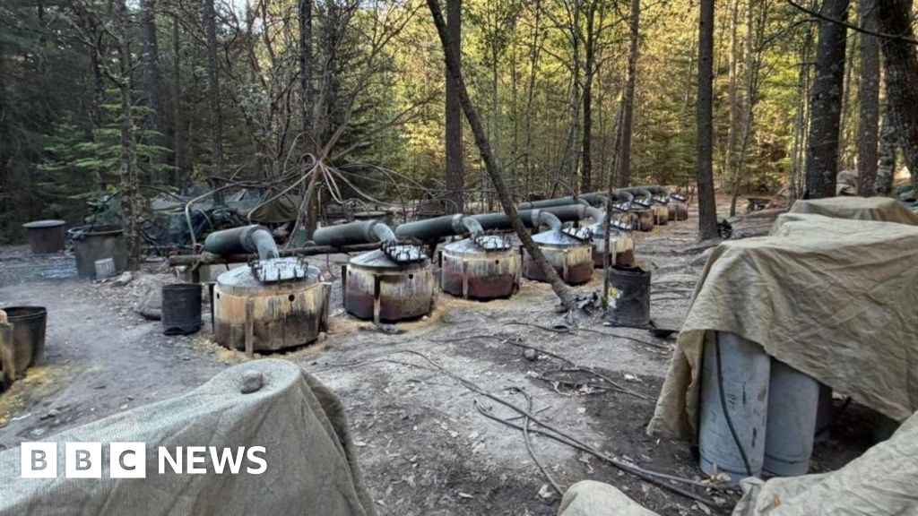 US Officials’ Crash in Mexico Sparks Questions