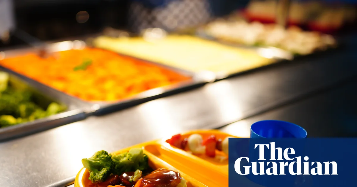 Youth Likely to Skirt New Healthy Lunch Plans, Pilot Shows