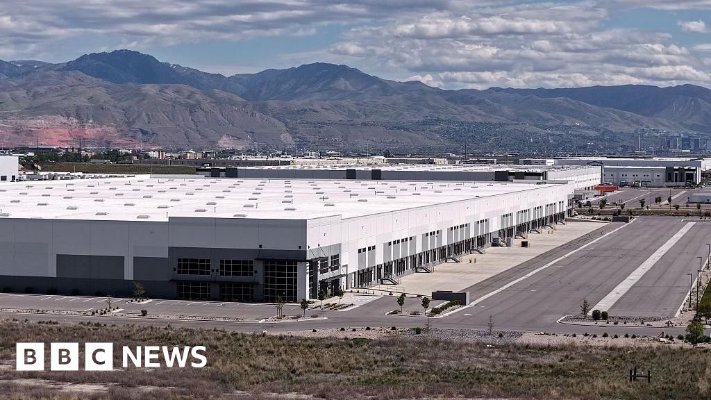 French grandmother, 86, detained by ICE after reuniting with her American soulmate