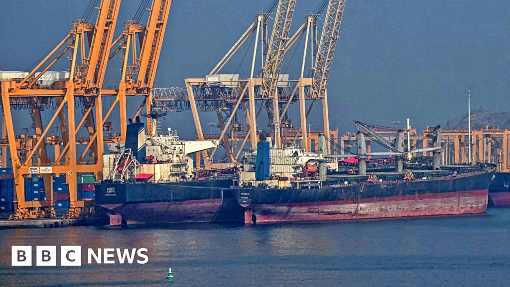 UAE Boldly Steps Away from OPEC, Prioritizing Energy Independence