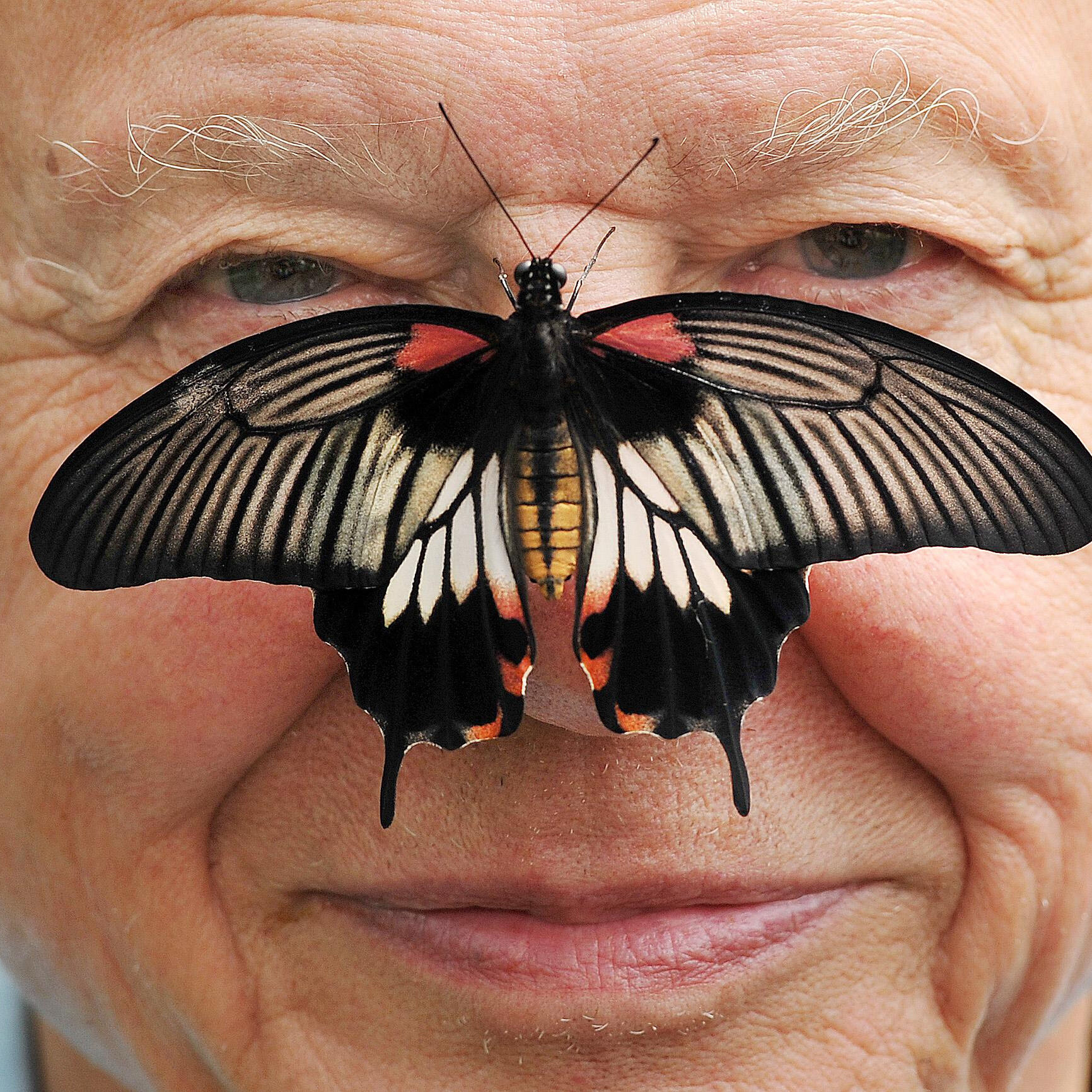 David Attenborough Celebrates a Century of Environmental Legacy