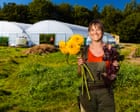 British Flower Farms Blossom as Local Demand Drives Growth