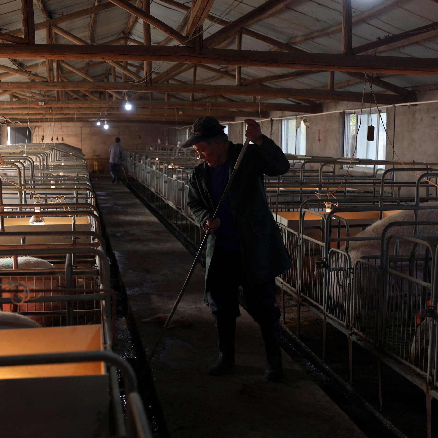 Plunging Pork Prices Signal Deeper Woes for China's Economy