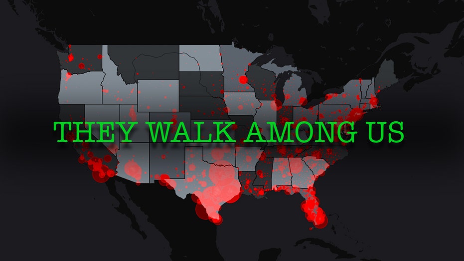 White House Launches 'Aliens.gov' to Boost Illegal Immigration Enforcement Transparency