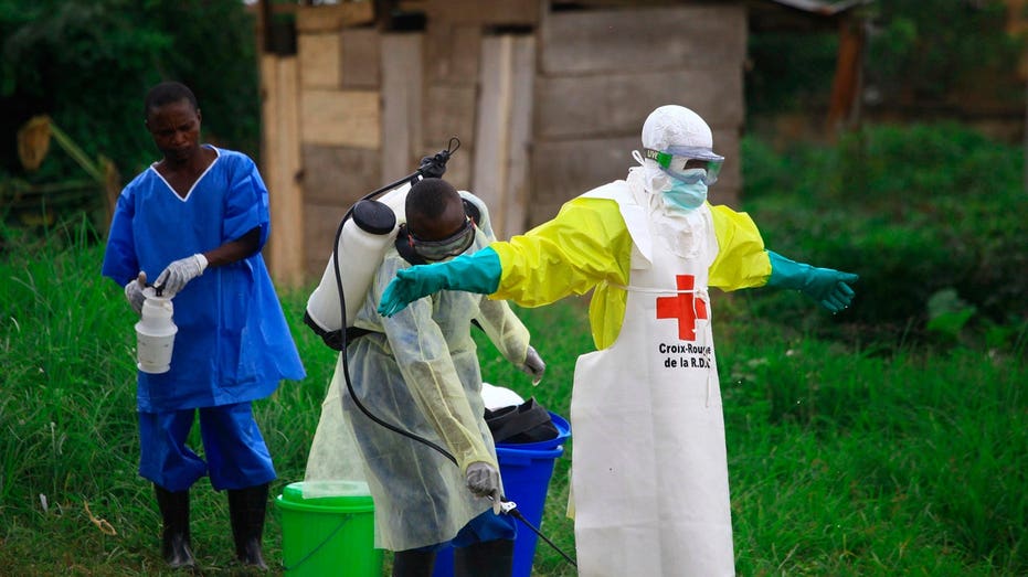 WHO Declares Ebola Outbreak in Central Africa a Public Health Emergency