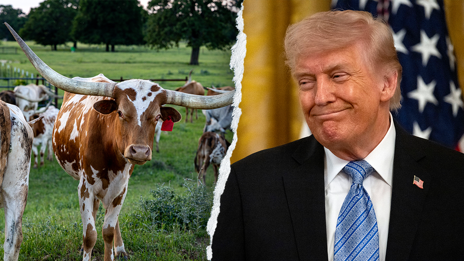 Trump Declares Democrat James Talarico 'Unelectable' in Texas Senate Race