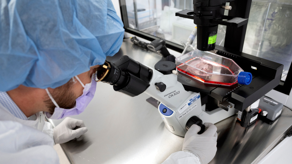 Precision Chemotherapy: New Tech Sends Treatment Straight to Tumors