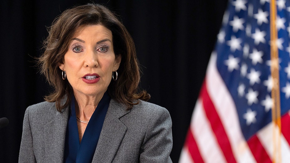 New York Sheriffs Vow Legal Fight Against Hochul's 287(g) Ban