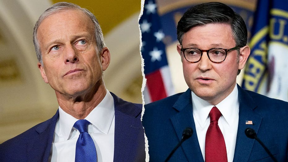 GOP Unity Imperative as Senate Republicans Press for Border Funding Amid House Tensions