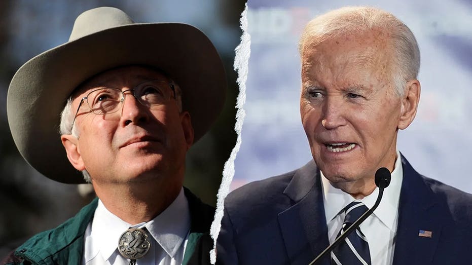 Former Biden Ambassador Considered Presidential Challenge Over Border Crisis, Criticizes Harris